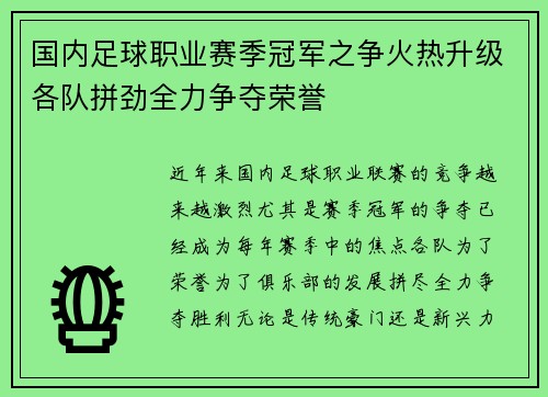 国内足球职业赛季冠军之争火热升级各队拼劲全力争夺荣誉