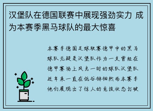 汉堡队在德国联赛中展现强劲实力 成为本赛季黑马球队的最大惊喜